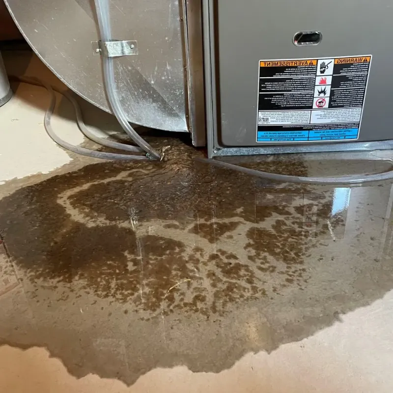 Pipe Burst and Leak Restoration in Wright, WY