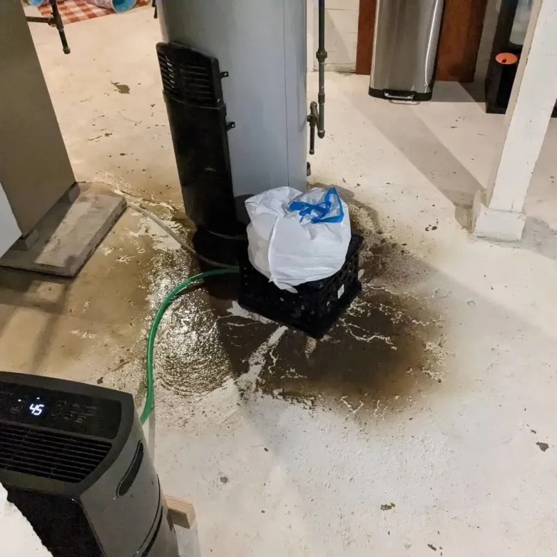 Sewage Backup Cleanup Service in Wright, WY